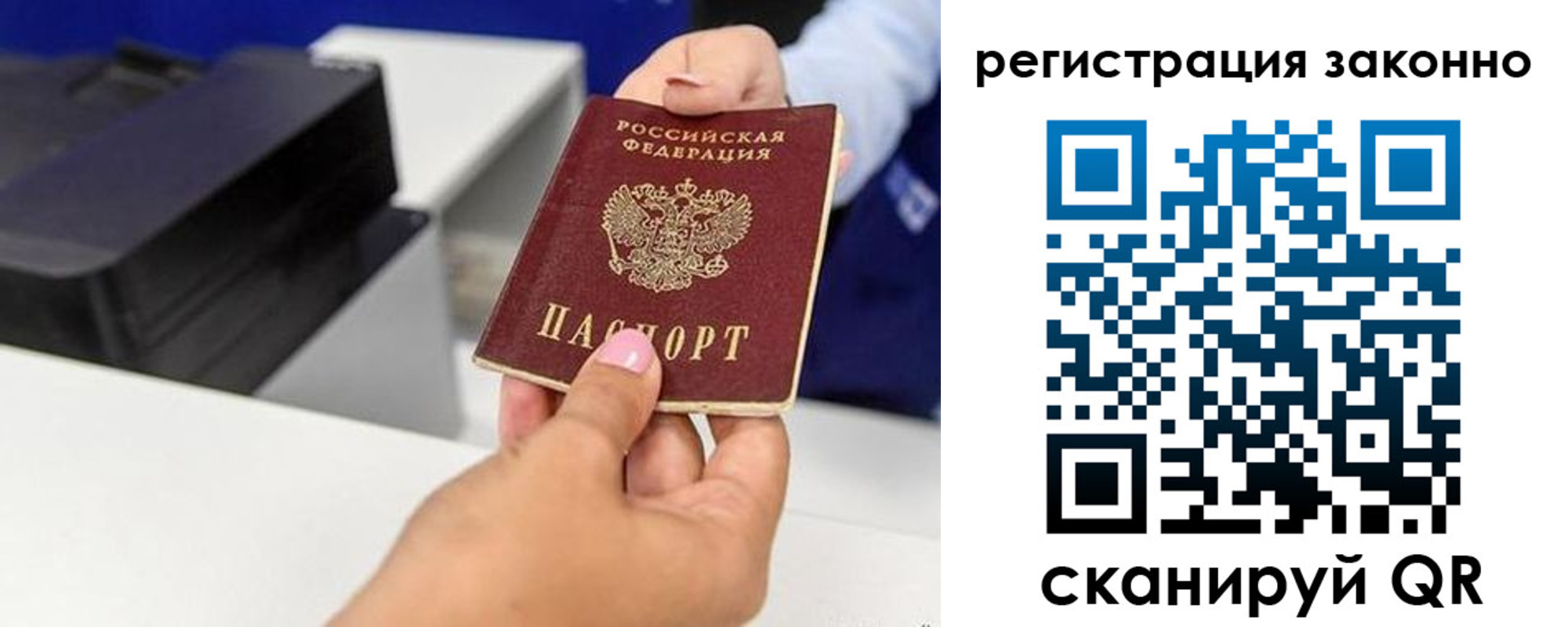 прописка для школы в Ардоне